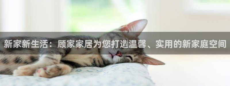 ug环球官网注册