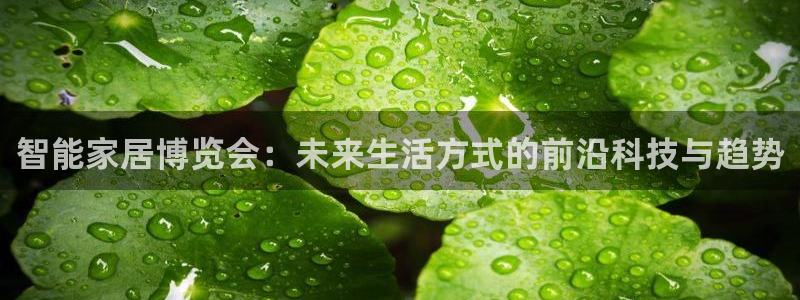 ug环球官网会员登录