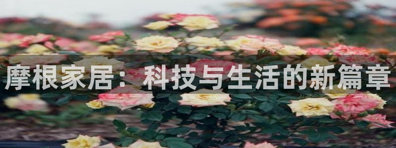 ug环球官网注册会员登录