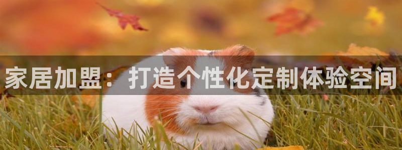 ug环球会员注册开户