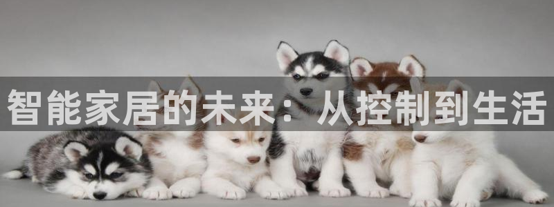 ug环球买分卖分